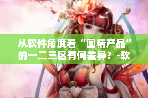 从软件角度看“国精产品”的一二三区有何差异？-软件深度分析
