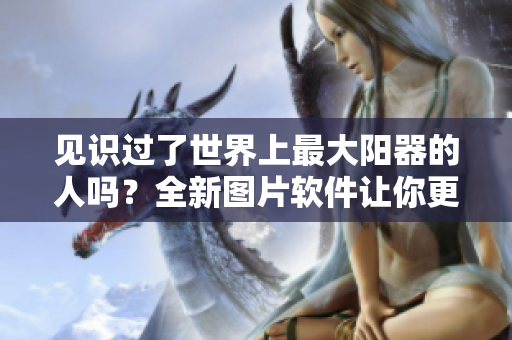见识过了世界上最大阳器的人吗？全新图片软件让你更懂得视觉艺术！