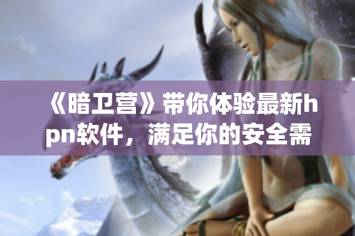 《暗卫营》带你体验最新hpn软件，满足你的安全需求！