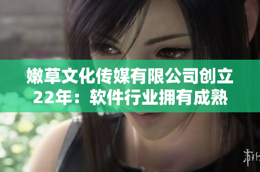 嫩草文化传媒有限公司创立22年：软件行业拥有成熟经验