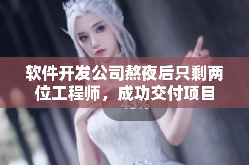 软件开发公司熬夜后只剩两位工程师，成功交付项目