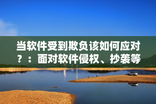当软件受到欺负该如何应对？：面对软件侵权、抄袭等问题的解决方法