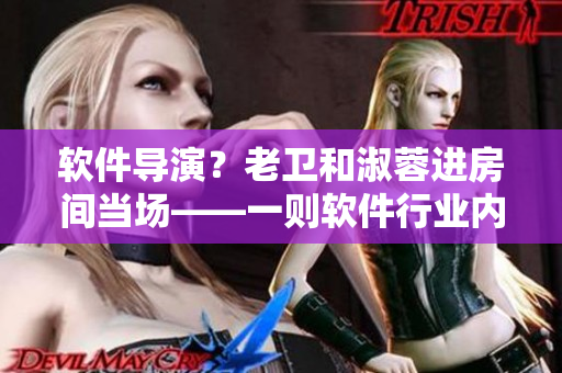 软件导演？老卫和淑蓉进房间当场——一则软件行业内部爆料