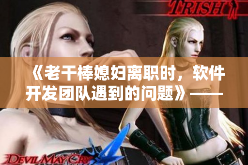 《老干棒媳妇离职时，软件开发团队遇到的问题》——重构第几集？