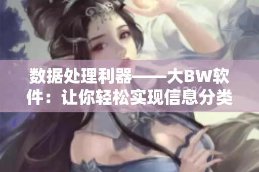 数据处理利器——大BW软件：让你轻松实现信息分类与管理！