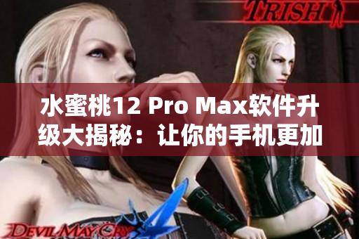 水蜜桃12 Pro Max软件升级大揭秘：让你的手机更加智能