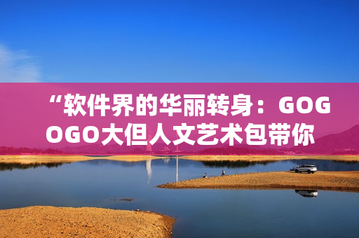 “软件界的华丽转身：GOGOGO大但人文艺术包带你探索编程之美”