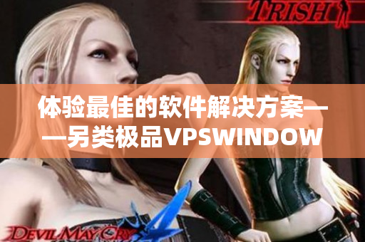 体验最佳的软件解决方案——另类极品VPSWINDOWS完美上线！