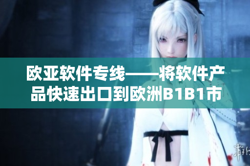 欧亚软件专线——将软件产品快速出口到欧洲B1B1市场