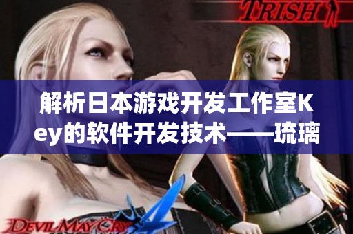 解析日本游戏开发工作室Key的软件开发技术——琉璃神社
