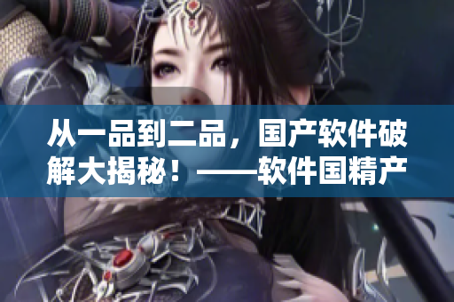 从一品到二品，国产软件破解大揭秘！——软件国精产品解锁攻略