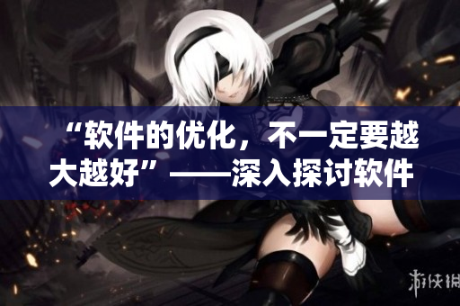 “软件的优化，不一定要越大越好”——深入探讨软件优化的实用经验