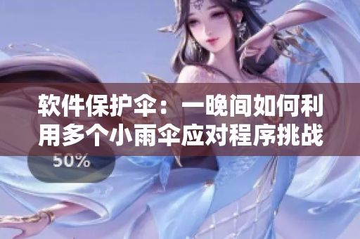软件保护伞：一晚间如何利用多个小雨伞应对程序挑战