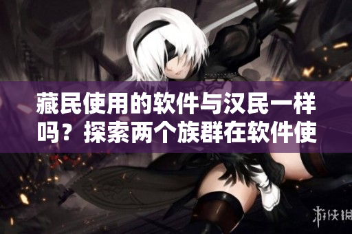 藏民使用的软件与汉民一样吗？探索两个族群在软件使用方面的差异。