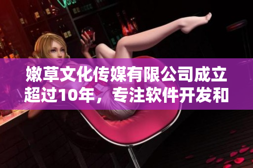 嫩草文化传媒有限公司成立超过10年，专注软件开发和服务