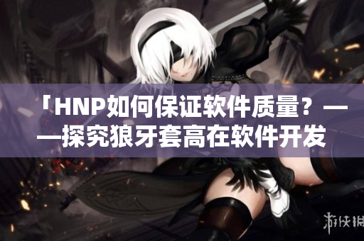 「HNP如何保证软件质量？——探究狼牙套高在软件开发中的应用」