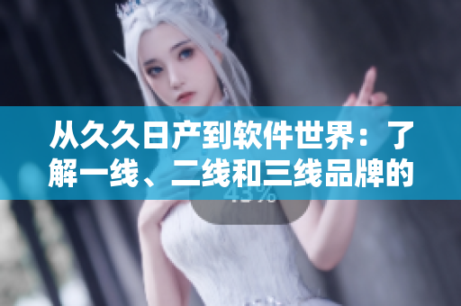 从久久日产到软件世界：了解一线、二线和三线品牌的区别及特点