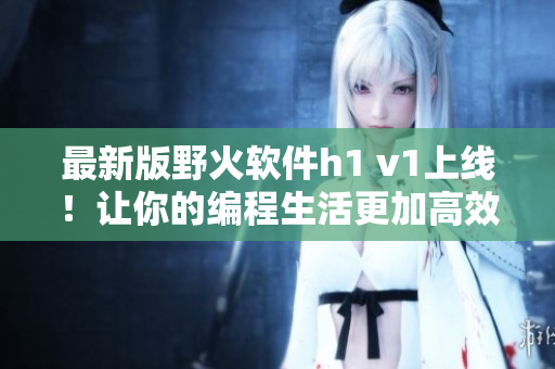 最新版野火软件h1 v1上线！让你的编程生活更加高效便捷