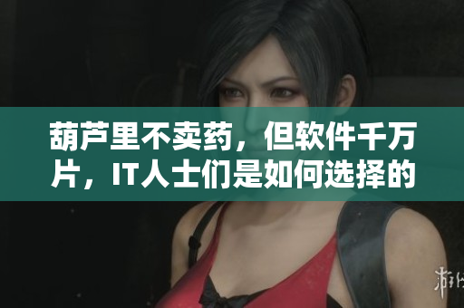 葫芦里不卖药，但软件千万片，IT人士们是如何选择的？