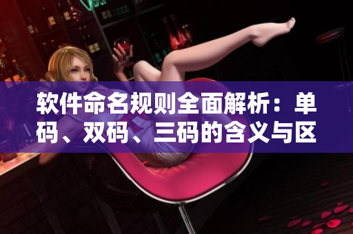 软件命名规则全面解析：单码、双码、三码的含义与区别！