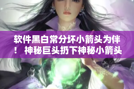 软件黑白常分坏小箭头为伴！ 神秘巨头扔下神秘小箭头？
