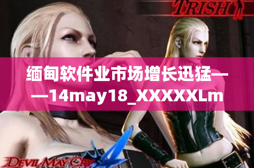 缅甸软件业市场增长迅猛——14may18_XXXXXLmedjyf报道