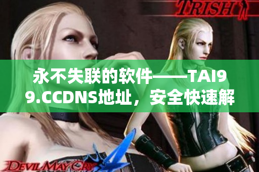 永不失联的软件——TAI99.CCDNS地址，安全快速解析网站