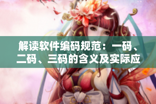 解读软件编码规范：一码、二码、三码的含义及实际应用解析