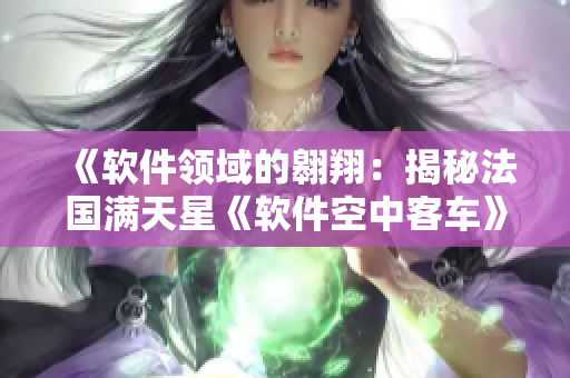 《软件领域的翱翔：揭秘法国满天星《软件空中客车》》