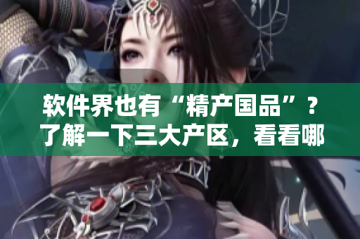 软件界也有“精产国品”？了解一下三大产区，看看哪个最适合你的需求！