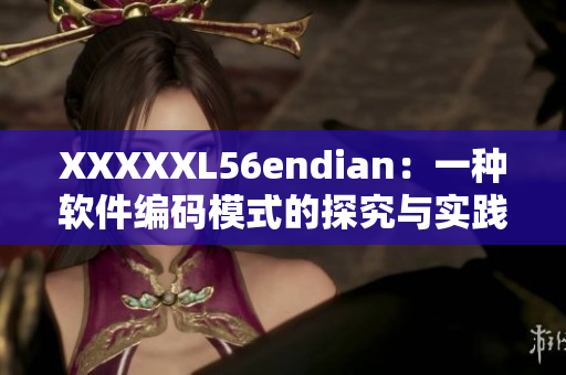XXXXXL56endian：一种软件编码模式的探究与实践