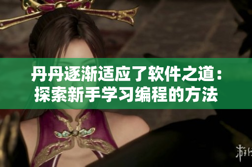 丹丹逐渐适应了软件之道：探索新手学习编程的方法