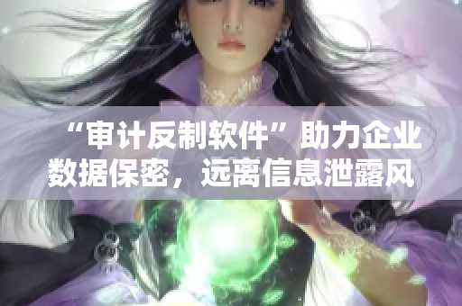 “审计反制软件”助力企业数据保密，远离信息泄露风险！