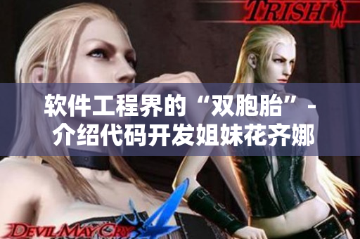 软件工程界的“双胞胎”- 介绍代码开发姐妹花齐娜齐琳