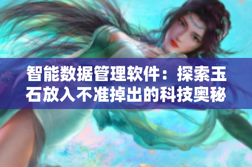 智能数据管理软件：探索玉石放入不准掉出的科技奥秘