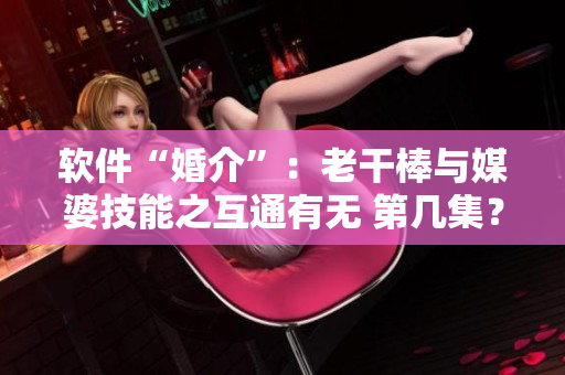 软件“婚介”：老干棒与媒婆技能之互通有无 第几集？