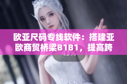 欧亚尺码专线软件：搭建亚欧商贸桥梁B1B1，提高跨境交易效率