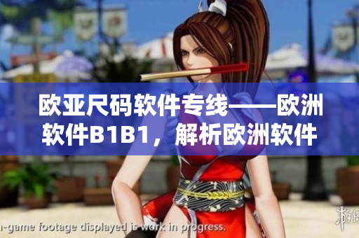 欧亚尺码软件专线——欧洲软件B1B1，解析欧洲软件尺码疑惑