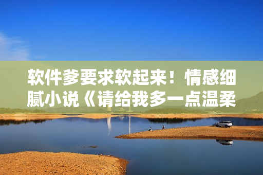 软件爹要求软起来！情感细腻小说《请给我多一点温柔》免费阅读