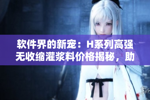 软件界的新宠：H系列高强无收缩灌浆料价格揭秘，助您在软件开发路上稳步前行