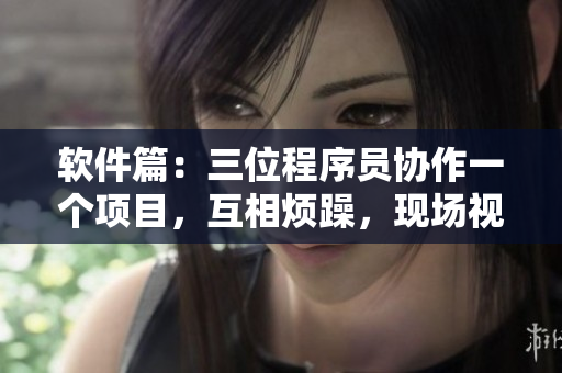 软件篇：三位程序员协作一个项目，互相烦躁，现场视频直击