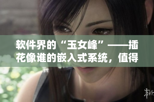 软件界的“玉女峰”——插花像谁的嵌入式系统，值得一探究竟！