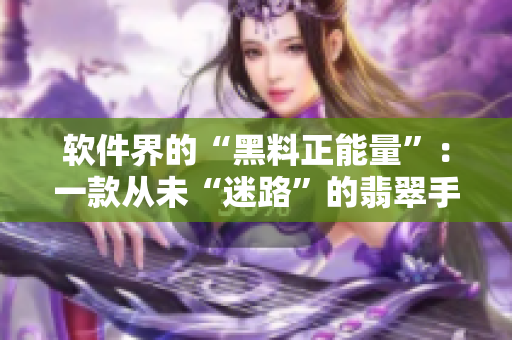 软件界的“黑料正能量”：一款从未“迷路”的翡翠手镯