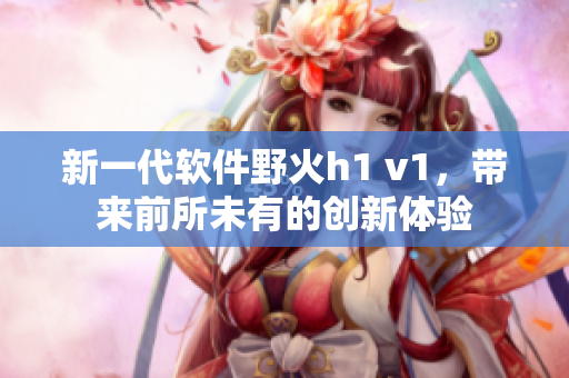 新一代软件野火h1 v1，带来前所未有的创新体验
