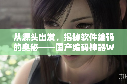 从源头出发，揭秘软件编码的奥秘——国产编码神器W灬源码