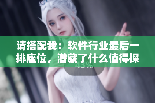请搭配我：软件行业最后一排座位，潜藏了什么值得探索的奥秘？