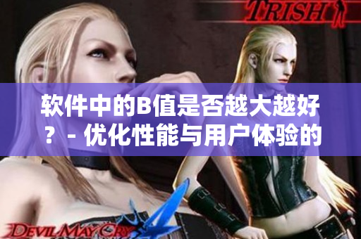 软件中的B值是否越大越好？- 优化性能与用户体验的平衡