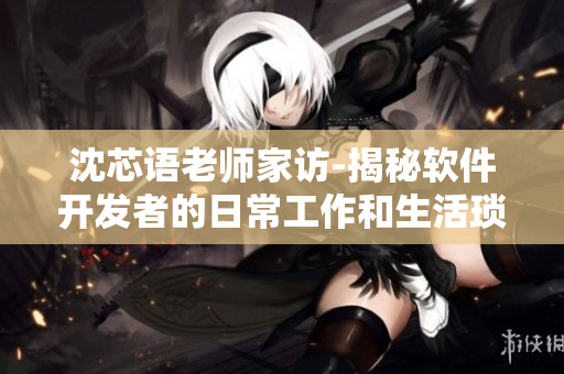 沈芯语老师家访-揭秘软件开发者的日常工作和生活琐事
