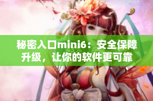秘密入口mini6：安全保障升级，让你的软件更可靠