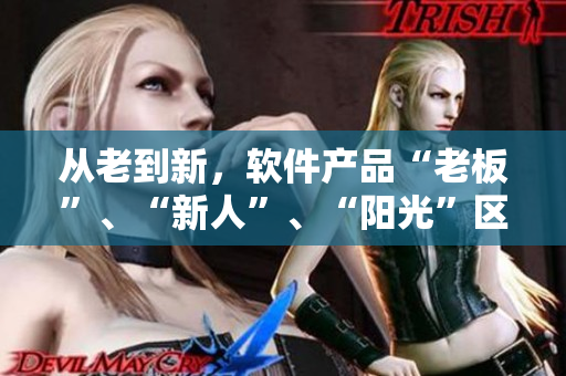 从老到新，软件产品“老板”、“新人”、“阳光”区别分析